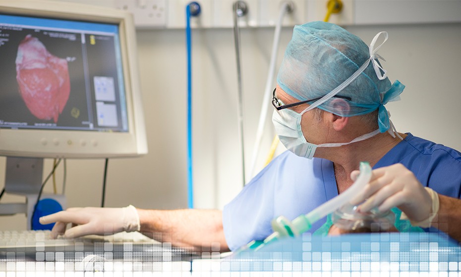 Cardiovascular image